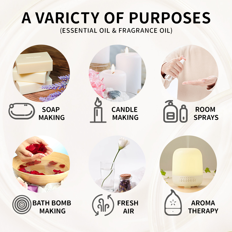 10ML 향수 오일 공장 석고 수면 목욕 비누에 대한  - Candle Making And Perfume 리뷰 및 가격